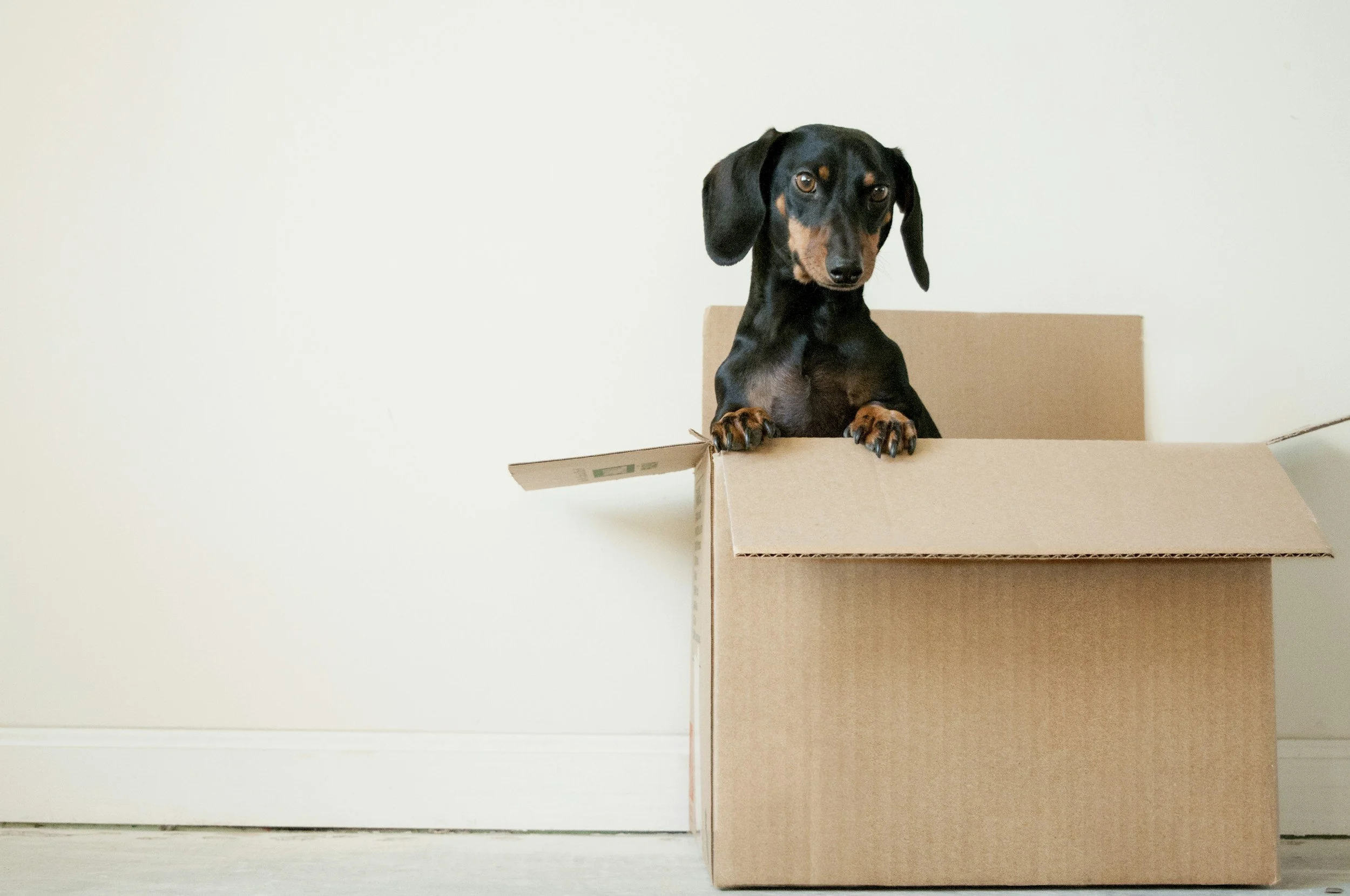 Moving Out Of State
